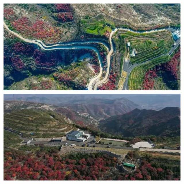 “泉”在济南享金秋——“一城山色·登山打卡”带你来赏红叶啦！
