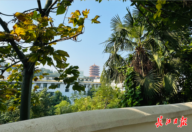 武昌三道街建起“漫步山道”，黄鹤楼观赏有了新机位