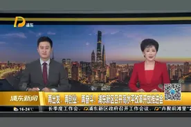 再出发、再创业、再奋斗！浦东新区召开高水平改革开放推进会视频封面