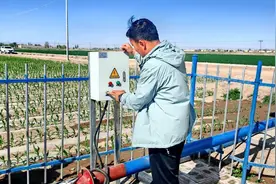 甘肃民勤：智能滴灌破解“水困”“双源互济”重塑绿洲农业生态图片