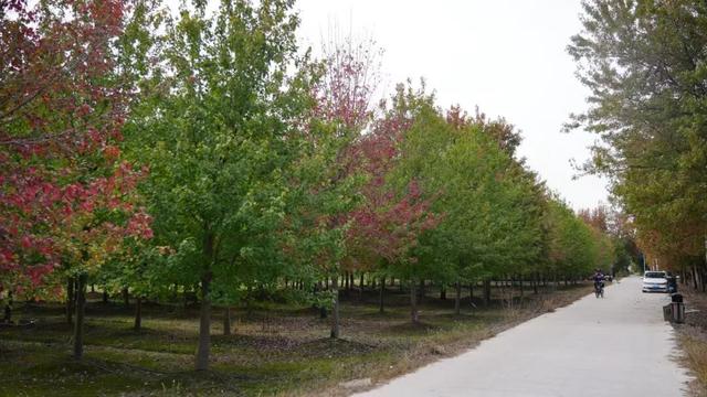 300亩！免费参观