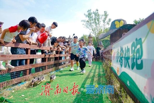 雨中庆华诞 服务铸匠心 济南野生动物世界奏响文旅高质量发展强音
