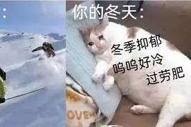一到冬天：又冷又累又胖了……趁着周末动一动也能当健康达人图片