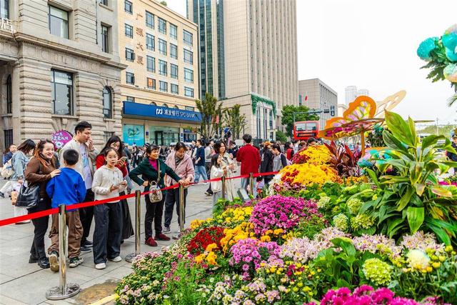 来打卡吧！江汉关前，万盆秋菊演绎“时尚绽放”