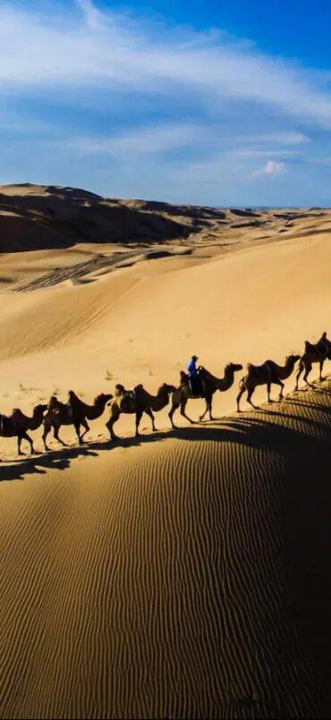 鄂尔多斯早秋旅行计划已为你打包！速查收→