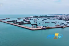 休渔期不断“鲜”！央视点评：“吃海鲜，到湛江！”图片