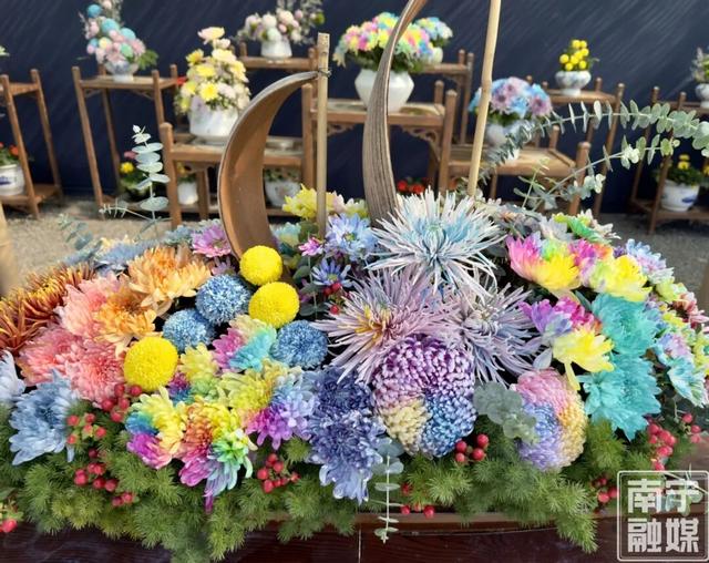 菊色缤纷争妍！青秀山菊花展邀你来“花”式打卡