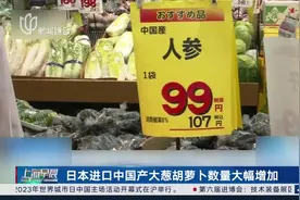 日本进口中国产大葱胡萝卜数量大幅增加视频封面