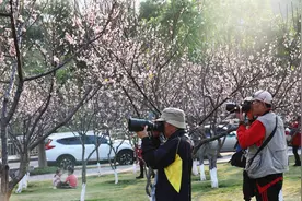 徒步、观鸟、“森”呼吸！沿着北回归线感受深圳自然保护地之美图片