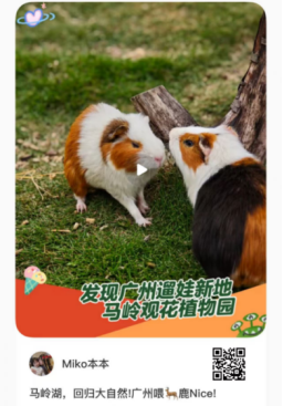 藏不住了！广州花都浪漫花海，被小红书达人发现了~