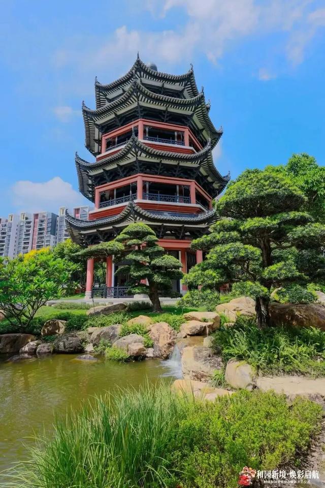 重阳登高好去处，顺德这些打卡点让你尽揽秋色！