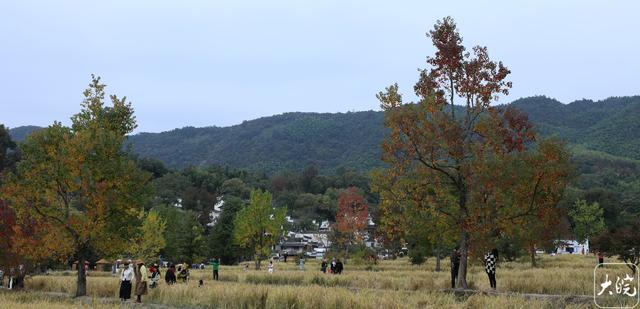 安徽黟县：斑斓塔川惹人醉