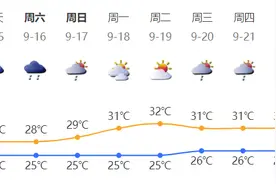 深新早点｜定了！深圳这8天暂停限外！图片