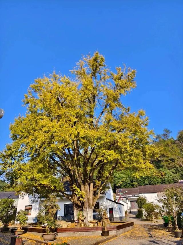 在郎溪，两天一夜还可以这样游！