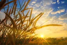 对方撤回了一条消息图片