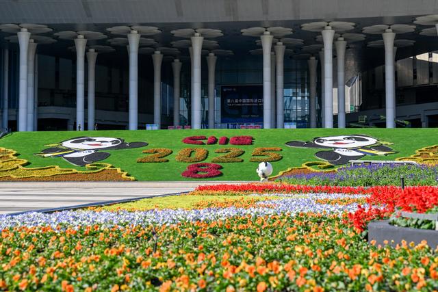 进博直击｜四叶草全面“定妆”，静待第八届进博会开幕