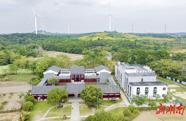 共赴秋光里的文化奇遇! 《村里有个馆》 11月3日重磅来袭