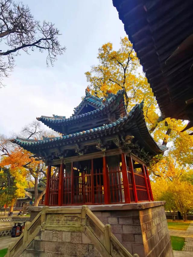 晚潮｜邂逅秋光三千年