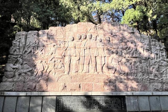 山东泰安山城联动共擎绿色画卷，激活高质量发展新动能