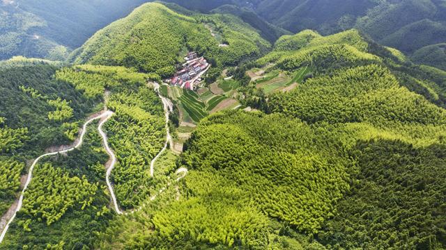 浙江磐安：盘山公路蜿蜒风光美