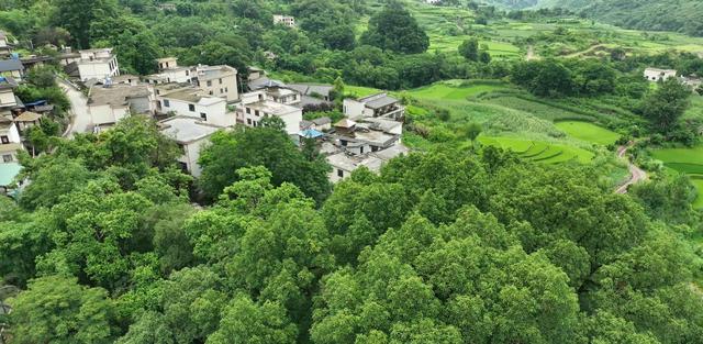 陆家寨：纳凉避暑好地方