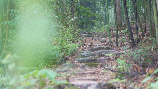 鄣吴镇四条徒步路线全线贯通，为徒步爱好者提供新选择！