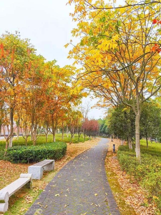 别眨眼，接下来的新干是这样的→