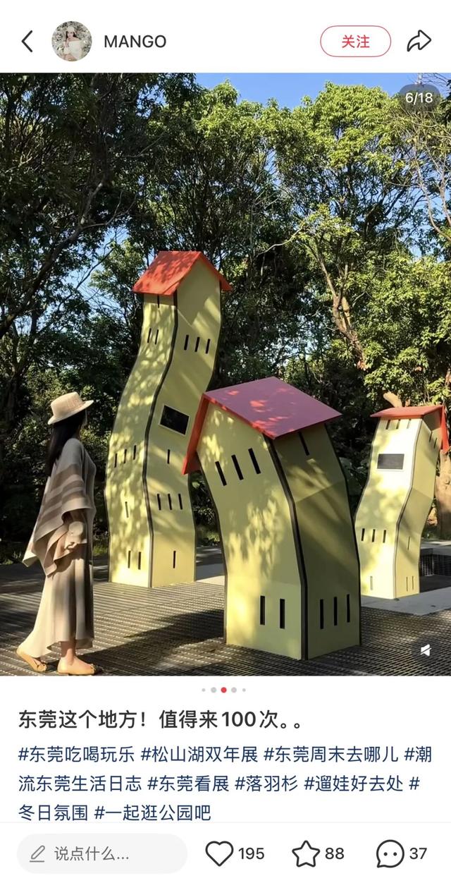 最美松湖｜双年展进入最后倒计时！与绝美落羽杉同框时机就在本周→