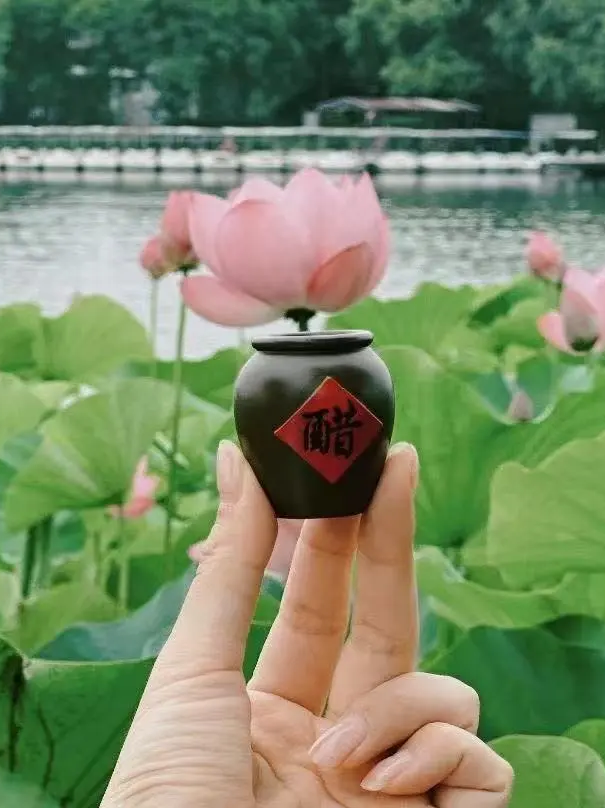 央视黄金时段！镇江，秒秒惊艳！