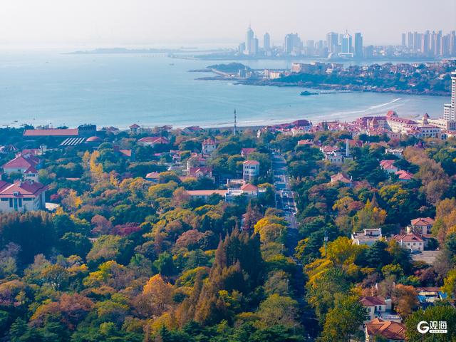 海韵+汇筑+绮景！青岛初冬的浪漫被具象化了