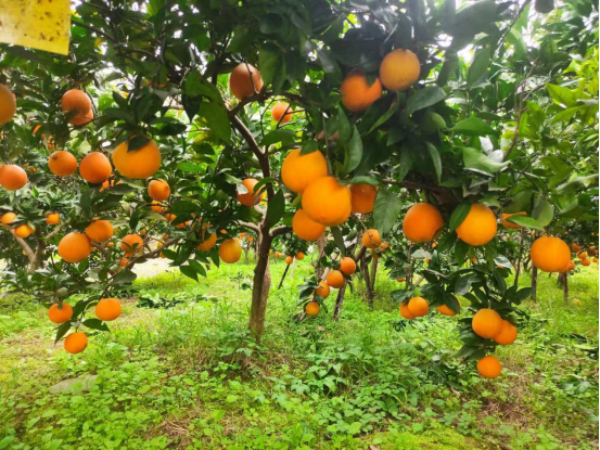 永川“留娃”去处上新→