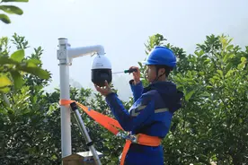 容县：“智赋柚业”擘好产业振兴新画卷图片