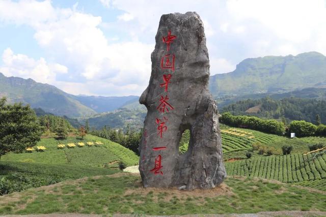 普安山川风物 || 秋高气爽 茶山有韵