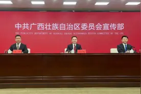 共青团广西区委 助力“一区两地一园一通道”建设成效显著图片