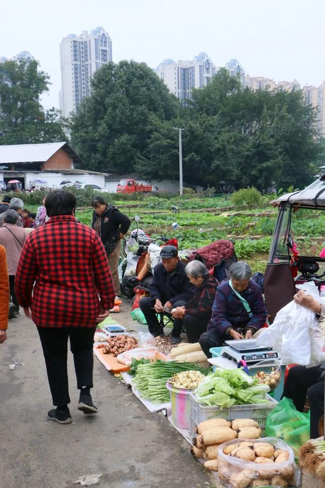 龙泉的早高峰在西河综合市场