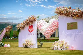 “去公园领证”，内核没变但仪式感更满图片