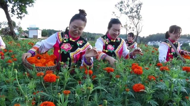“热”力四射！暑期多元业态激发经济新活力