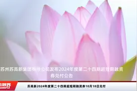 苏高新2024年度第二十四期超短期融资券10月18日兑付视频封面