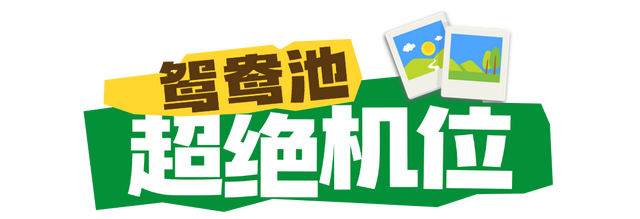 先别急！存几个来瓦屋山的超绝机位~