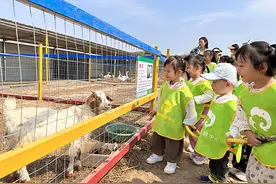 长治市潞城区：端午“亲子游” 农场欢乐多图片