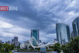 寒潮来了！今明武汉或迎大风雨雪天气图片