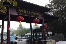 7种鹦鹉可合法购买饲养 非法养殖或触刑图片