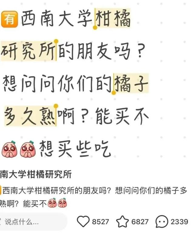 “忙得招架不住了，大家下单不要下多了！”
