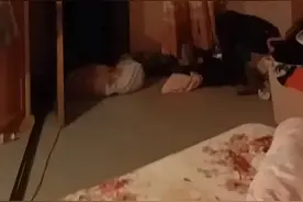 云南野象来家里串门？动物专家：找个地方躲躲吧｜科技圆桌派图片