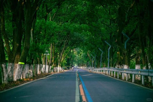 江西秋日自驾天花板，这几条公路带你驶入最美秋色！