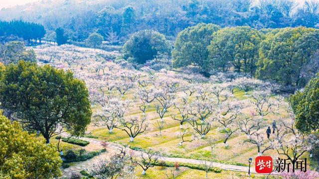 山水有度，城市有光 在苏州市高新区，把假日过成理想生活