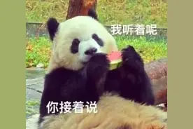 北京一超跑行驶中突冒白烟，夏季爱车“发火”这么救图片