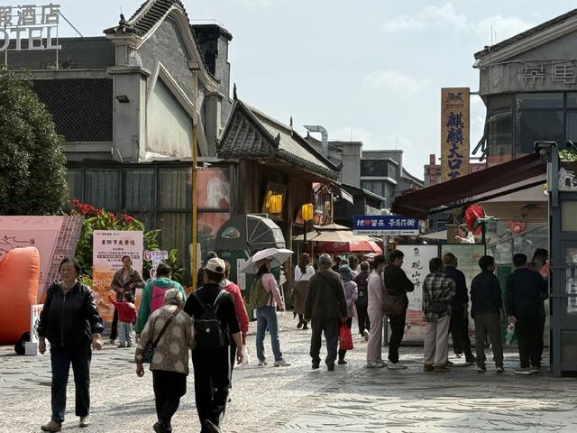 西山登高、大观赏菊  全龄乐享重阳