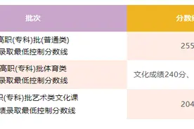 2024年海南省普通高校招生高职（专科）批录取最低控制分数公布图片