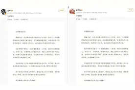 汪峰章子怡宣布离婚：未来将共同抚养孩子们图片